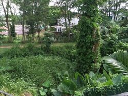 Mcmahon Park (D10), Detached #278592321